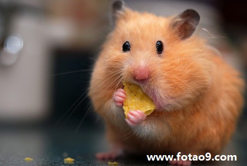 梦见我妈妈拿存折取钱,解梦梦见我妈妈拿存折取钱 梦见我妈妈拿存折取钱,解梦梦见我妈妈拿存折取钱