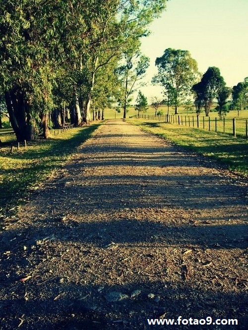 梦见异国的女朋友,解梦梦见异国的女朋友 梦见异国的女朋友,解梦梦见异国的女朋友
