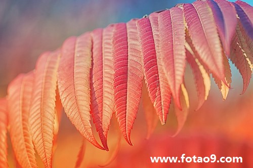 梦见和妻子离婚和情人结婚,解梦梦见和妻子离婚和情人结婚 梦见和妻子离婚和情人结婚,解梦梦见和妻子离婚和情人结婚