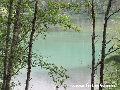 梦见妈妈在挖坟坑,解梦梦见妈妈在挖坟坑 梦见妈妈在挖坟坑,解梦梦见妈妈在挖坟坑