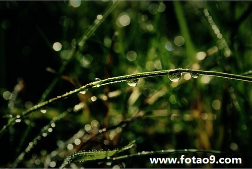 梦见被成千人追杀,解梦梦见被成千人追杀 梦见被成千人追杀,解梦梦见被成千人追杀