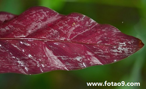 梦见爸爸不相信自己,解梦梦见爸爸不相信自己 梦见爸爸不相信自己,解梦梦见爸爸不相信自己