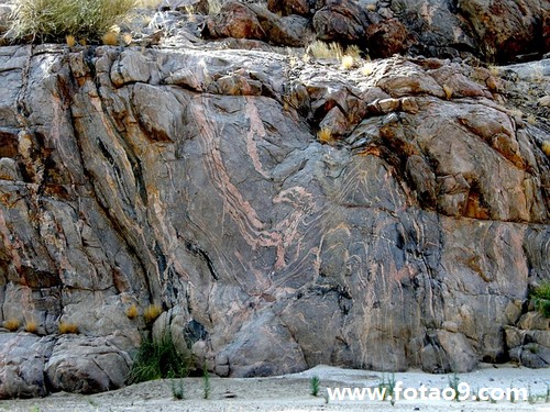 梦见自己生病进医院了,解梦梦见自己生病进医院了 梦见自己生病进医院了,解梦梦见自己生病进医院了