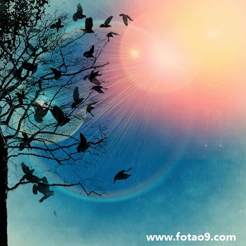 梦见捡回绿色手表,解梦梦见捡回绿色手表 梦见捡回绿色手表,解梦梦见捡回绿色手表