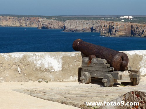 梦见仙人掌被踩断,解梦梦见仙人掌被踩断 梦见仙人掌被踩断,解梦梦见仙人掌被踩断