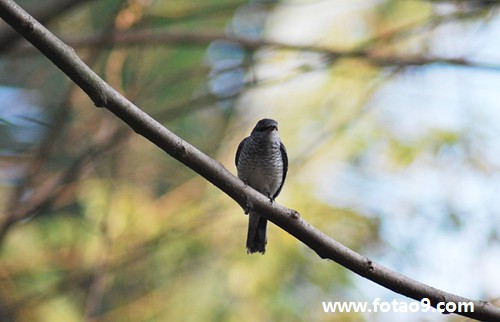 梦见丧尸追我但没追上我就醒,解梦梦见丧尸追我但没追上我就醒 梦见丧尸追我但没追上我就醒,解梦梦见丧尸追我但没追上我就醒