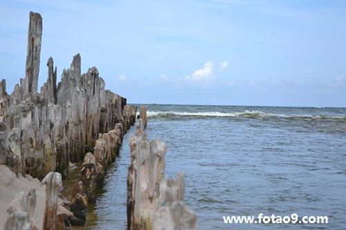 梦见挖到石油,解梦梦见挖到石油 梦见挖到石油,解梦梦见挖到石油