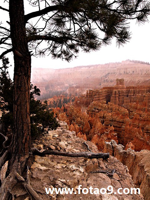 梦见妈妈后悔嫁给爸爸,解梦梦见妈妈后悔嫁给爸爸 梦见妈妈后悔嫁给爸爸,解梦梦见妈妈后悔嫁给爸爸