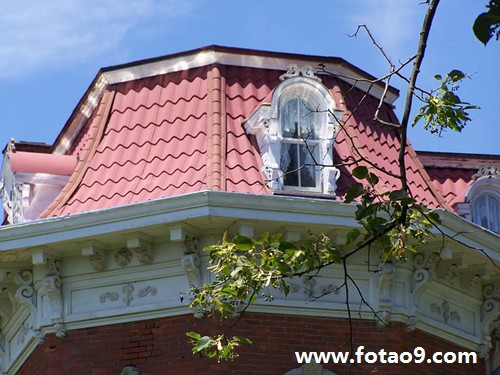 梦见大门牙掉了还有肉连着,解梦梦见大门牙掉了还有肉连着 梦见大门牙掉了还有肉连着,解梦梦见大门牙掉了还有肉连着