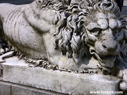 梦见屋里墙壁爬满蜈蚣,解梦梦见屋里墙壁爬满蜈蚣 梦见屋里墙壁爬满蜈蚣,解梦梦见屋里墙壁爬满蜈蚣