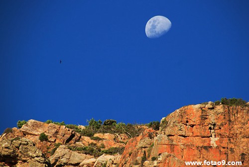 梦见跟爱人分居,解梦梦见跟爱人分居 梦见跟爱人分居,解梦梦见跟爱人分居