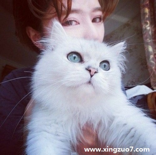 唐立淇2015年7月星座运势3 唐立淇2015年7月星座运势3