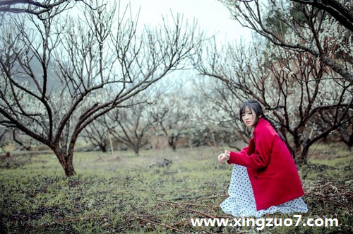Alex是大叔一周星座运势(2015.12.21-12.27)2 Alex是大叔一周星座运势(2015.12.21-12.27)2