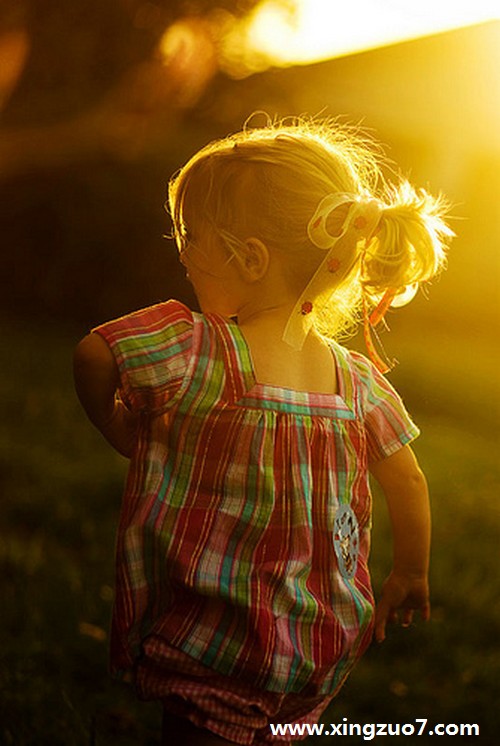 占星骑士一周星座运势(2015.11.23-11.29)1 占星骑士一周星座运势(2015.11.23-11.29)1