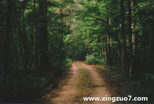 寂多蔓生一周星座运势(2015.9.14-9.20)2 寂多蔓生一周星座运势(2015.9.14-9.20)2