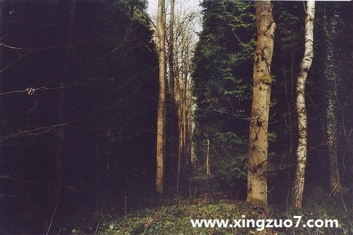 占星骑士2015年10月星座运势2 占星骑士2015年10月星座运势2