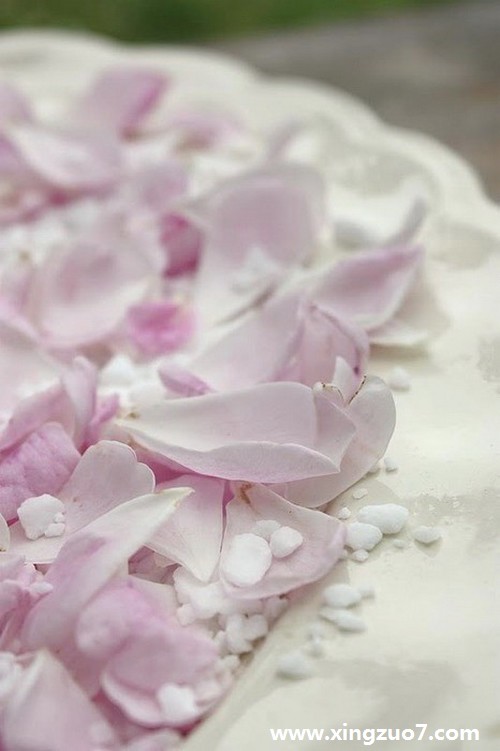 保罗韦德2015年11月星座运势3 保罗韦德2015年11月星座运势3