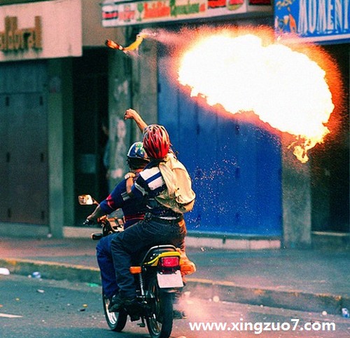 静电鱼2015年12月星座运势4 静电鱼2015年12月星座运势4