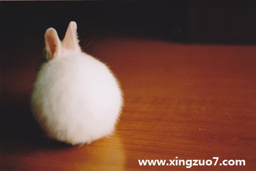 凤影焰一周星座运势(2016.1.18-1.24)2 凤影焰一周星座运势(2016.1.18-1.24)2