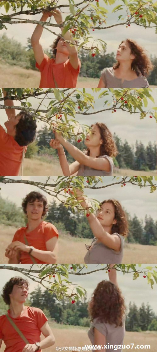 杀破狼2015年6月星座运势2 杀破狼2015年6月星座运势2