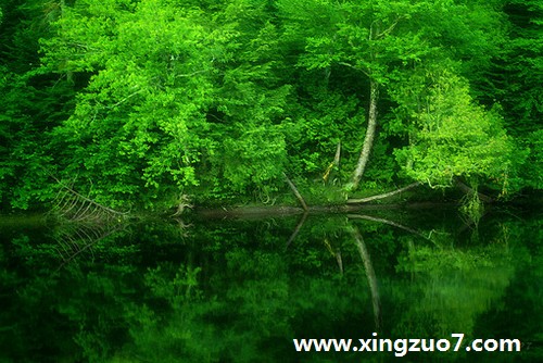 占星骑士一周星座运势(2015.9.21-9.27)3 占星骑士一周星座运势(2015.9.21-9.27)3