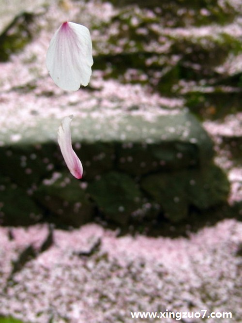 每少一周星座运势(2015.5.18-5.24)2 每少一周星座运势(2015.5.18-5.24)2