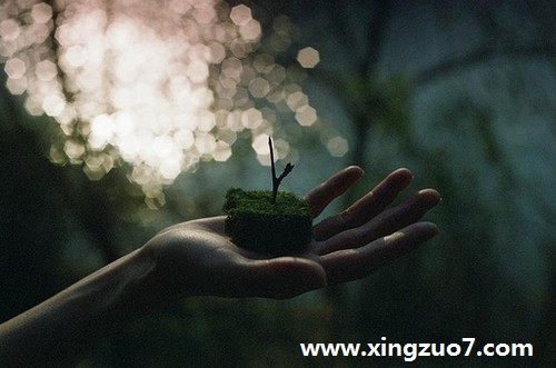 克里斯汀一周星座运势(2016.1.18-1.24)3 克里斯汀一周星座运势(2016.1.18-1.24)3