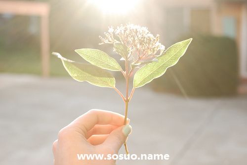 2007年11月13日生日图释 2007年11月13日生日图释