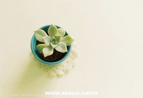 1977年8月23日生日图释 1977年8月23日生日图释