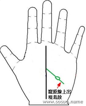 手掌中的辅助纹线宠爱线