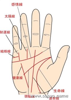 手相图解健康线看你自身健康状况