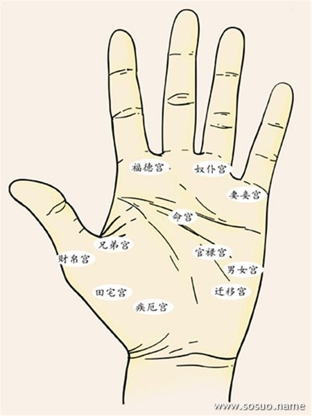 婚姻线:感情运写在你的掌心