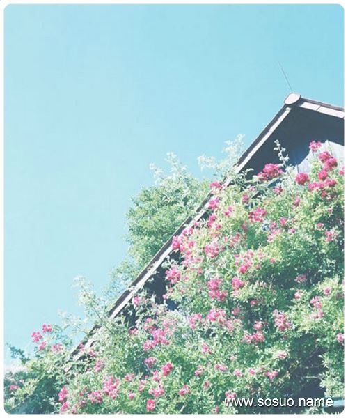 μѹʵԼ,μѹʵԼ