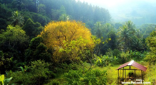 梦见一个老女人猥亵我,解梦梦见一个老女人猥亵我 梦见一个老女人猥亵我,解梦梦见一个老女人猥亵我