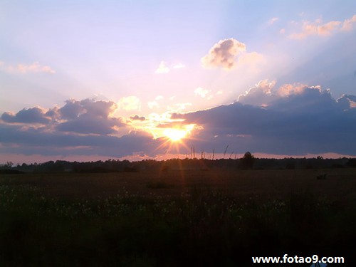 μС͵͵Ǯ,μС͵͵Ǯ