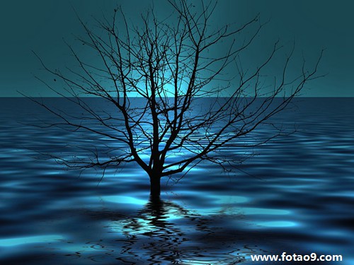 梦见三只小兔咬我,解梦梦见三只小兔咬我 梦见三只小兔咬我,解梦梦见三只小兔咬我