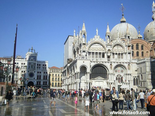 梦见头上有一群飞虫,解梦梦见头上有一群飞虫 梦见头上有一群飞虫,解梦梦见头上有一群飞虫