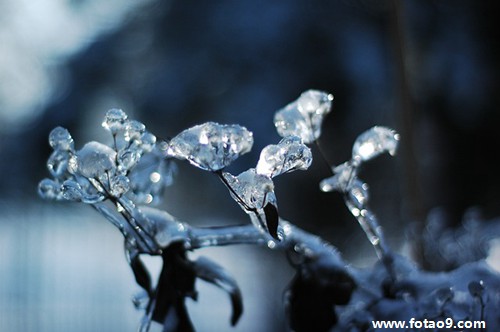 梦见和自己的老师去看电影,解梦梦见和自己的老师去看电影 梦见和自己的老师去看电影,解梦梦见和自己的老师去看电影