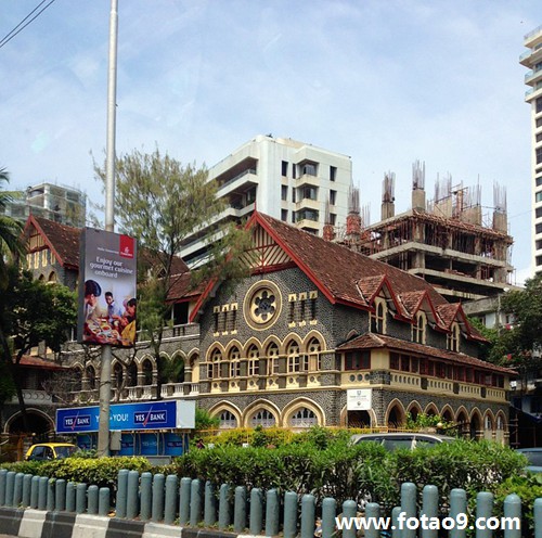 梦见一条白色的蛇在笼子里,解梦梦见一条白色的蛇在笼子里 梦见一条白色的蛇在笼子里,解梦梦见一条白色的蛇在笼子里