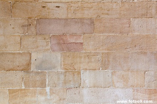 梦见白兔子红眼珠,解梦梦见白兔子红眼珠 梦见白兔子红眼珠,解梦梦见白兔子红眼珠