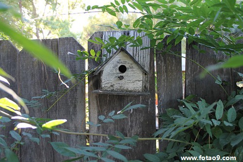 μ׷ɱȻڷĹ,μ׷ɱȻڷĹ