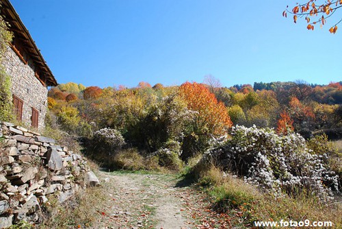μȫʪ,μȫʪ
