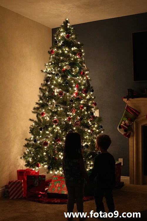 梦见老梦兀,解梦梦见老梦兀 梦见老梦兀,解梦梦见老梦兀