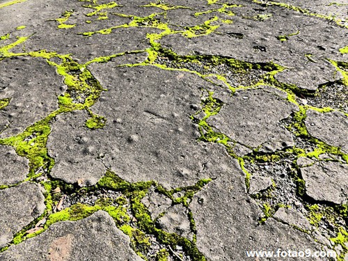 梦见跟别人卖童装,解梦梦见跟别人卖童装 梦见跟别人卖童装,解梦梦见跟别人卖童装