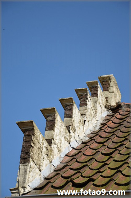 梦见自己在阉割小猪,解梦梦见自己在阉割小猪 梦见自己在阉割小猪,解梦梦见自己在阉割小猪