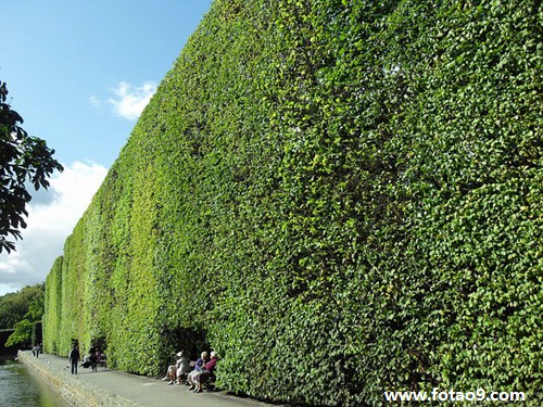 梦见姐姐家的宝宝哭着让我抱,解梦梦见姐姐家的宝宝哭着让我抱 梦见姐姐家的宝宝哭着让我抱,解梦梦见姐姐家的宝宝哭着让我抱
