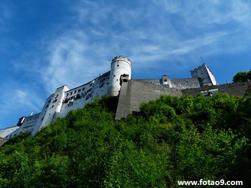 梦见鱼死烂,解梦梦见鱼死烂 梦见鱼死烂,解梦梦见鱼死烂