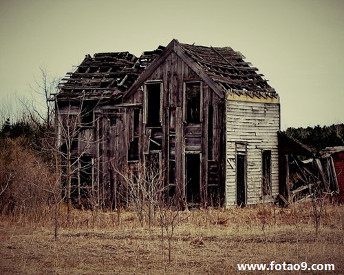 梦见我狗吃猪肉,解梦梦见我狗吃猪肉 梦见我狗吃猪肉,解梦梦见我狗吃猪肉