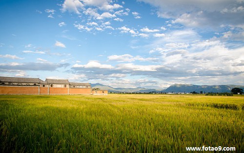 梦见水桶里的老鼠越来越多,解梦梦见水桶里的老鼠越来越多 梦见水桶里的老鼠越来越多,解梦梦见水桶里的老鼠越来越多