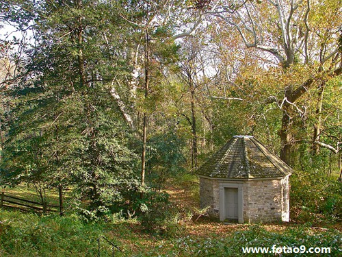 梦见挖到两只老鼠,解梦梦见挖到两只老鼠 梦见挖到两只老鼠,解梦梦见挖到两只老鼠